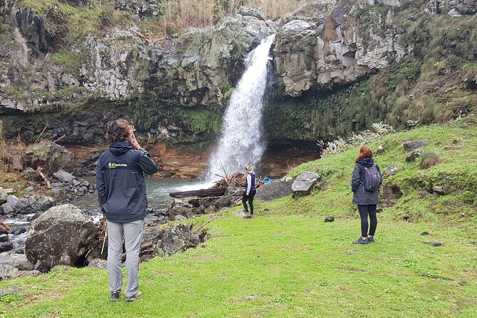 Full Day Hiking Trail Waterfalls- in Lomba de São Pedro - Azores - Cryptomeria forest to Cascata da Gruta and Poço da Truta