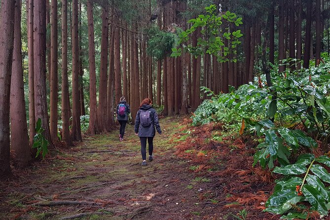 Full Day Hiking Trail Waterfalls- in Lomba de São Pedro - Azores - Stairs, springs, and parish fountains before lunch