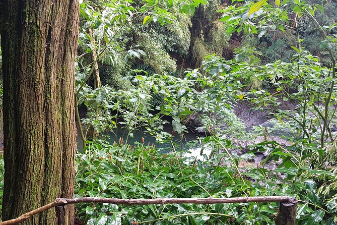 Full Day Hiking Trail Waterfalls- in Lomba de São Pedro - Azores - Ribeira dos Caldeirões Natural Park waterfall finale