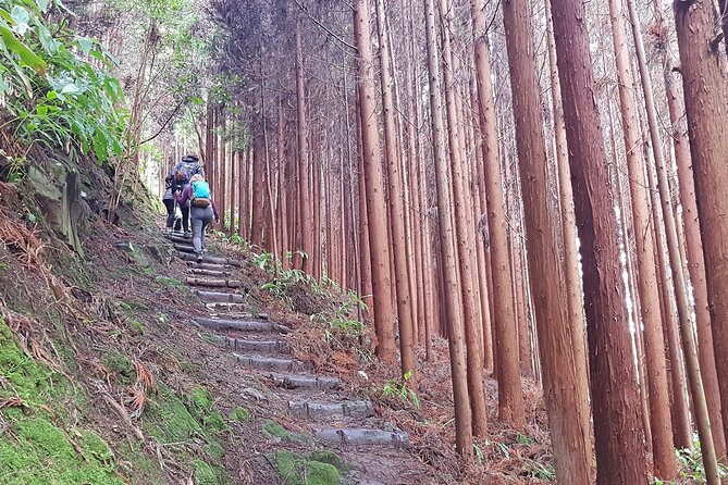 Full Day Hiking Trail Waterfalls- in Lomba de São Pedro - Azores - Guides matter: Tiago, Diego, and Júlio keep it smooth