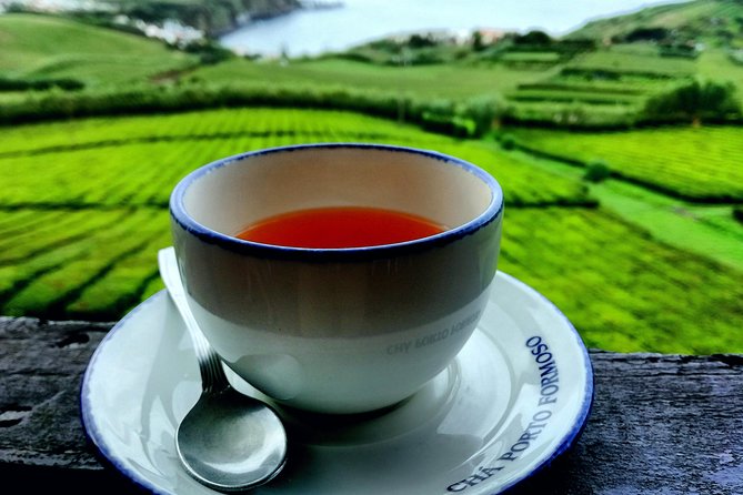 Full Day Jeep Tour Furnas with lunch (Cozido) and drinks included - Who this tour is best for, and who should pick something else