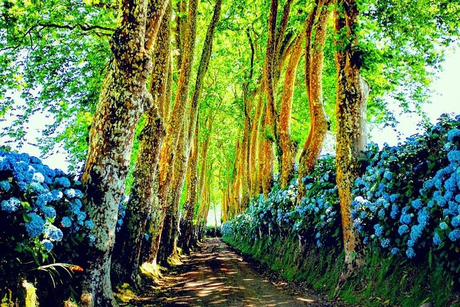 Full day jeep tour Nordeste with lunch included - Pickup in Ponta Delgada, then a Full Day Route