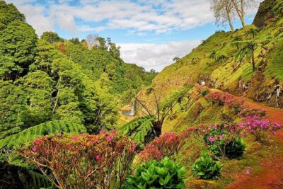 Full day jeep tour Nordeste with lunch included
