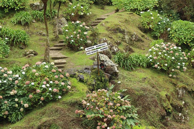 Full-Day Jeep Tour: The Northeast Azores in an Offroad 4x4 - Lunch in an Azorean Spot: Fish, Meat, Stew, and Grilled Options