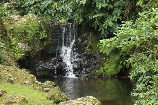 Full-Day Jeep Tour: The Northeast Azores in an Offroad 4x4 - The Afternoon: Headlands, Waterfalls, and Rocky Shoreline Power