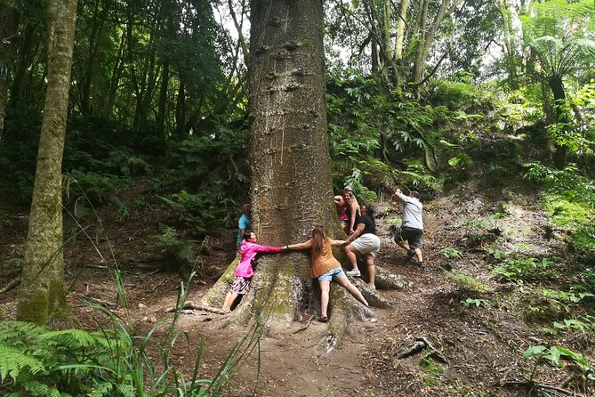 Full-Day Jeep Tour to Furnas - Tea at Gorreana: a factory-and-plantation experience since 1883
