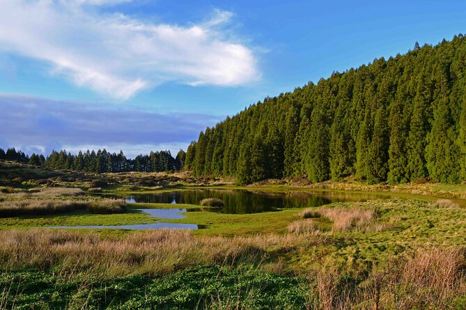 Full Day Lagoons and Volcanoes Tour in Terceira Island - Price and value: why $156.53 can make sense here