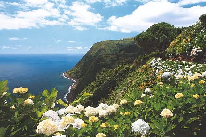 Full-Day Nordeste & waterfall Tour with Lunch - Why Nordeste feels different from the rest of São Miguel