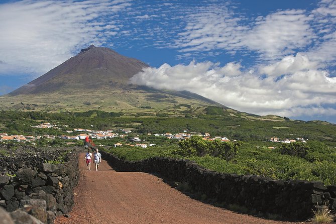 Full-Day Pico Island Tour from Horta - Key things to know before you go
