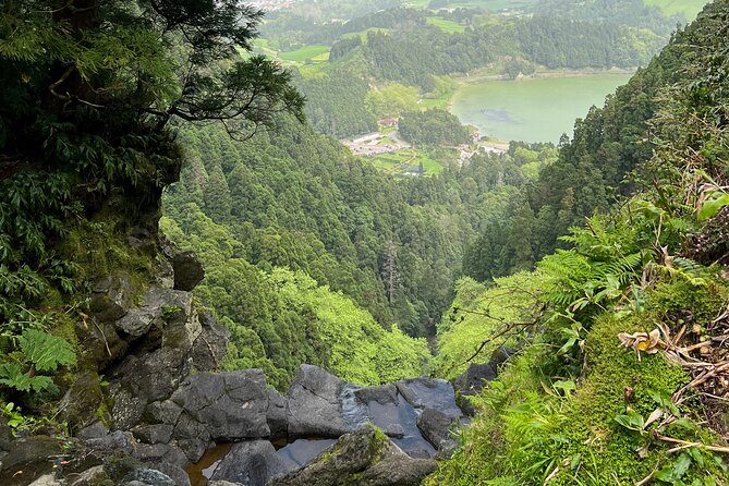 Full Day Private Tour in Furnas Valley Breath of the volcano - Terra Nostra Park: the 38°C thermal pool you can actually enjoy