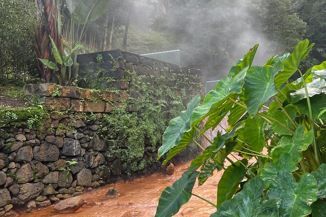Full Day Private Tour in Furnas Valley Breath of the volcano - Furnas lunch break: how to use your 1-hour window well
