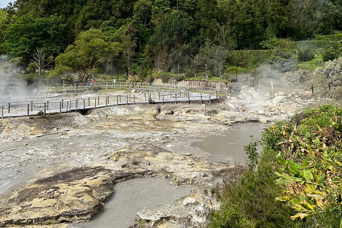 Full Day Private Tour in Furnas Valley Breath of the volcano - Gorreana tea plantations: antique equipment and ocean views