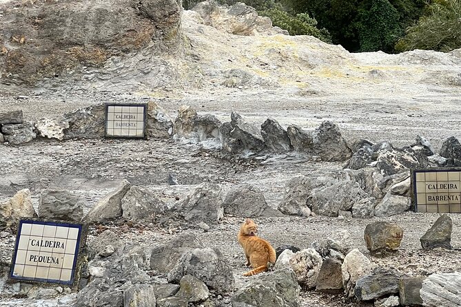 Full Day Private Tour in Furnas Valley Breath of the volcano - Guide Elena and the value of private flexibility