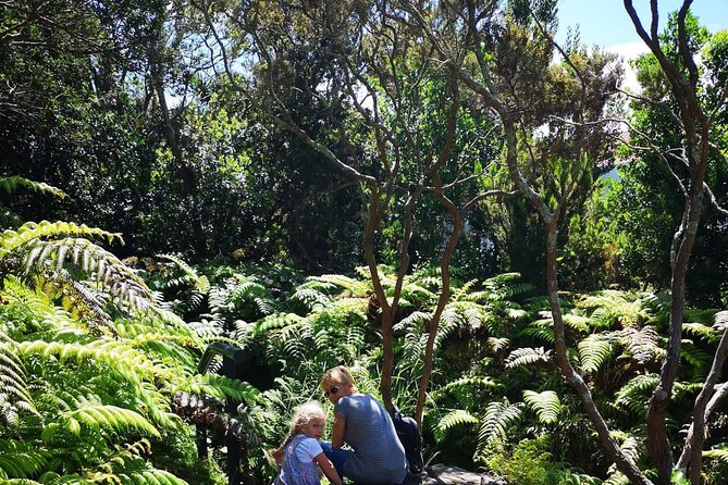 Full-Day Private Tour of Faial - Ribeirinha Ruins, Almoxarife Black Sand, and Pico From the Viewpoint