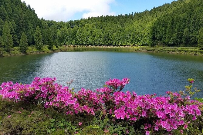 Full-Day Sete Cidades Crater Lake and Fire Crater Lake Private Tour - Lagoa do Fogo Viewpoint and Pineapples at Plantacao dos Acores