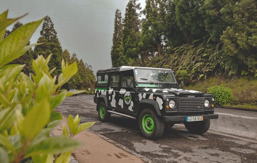 Full Day Sete Cidades + Lagoa do Fogo - Blue Lagoon and Green Lagoon: Walk the Shores