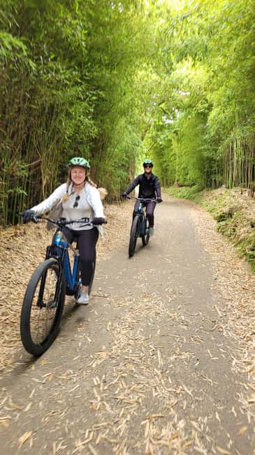 Furnas: Guided E-bike Tour with Cheese Tasting - Volcanic fumaroles and Cozido: the science you can see, plus the food you can smell