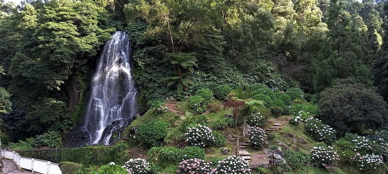 Furnas: Hot Springs, Crater Lake & Geothermal Wonders - A Good 8-Hour Loop for First-Time São Miguel Planning