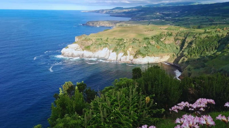 Furnas: Hot Springs, Crater Lake & Geothermal Wonders - Cozido das Furnas Lunch: The One Add-On That Feels Worth It