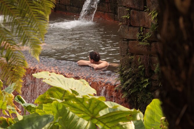 Furnas in a Private Evening - Tea, Cozido Dinner and Hot Springs - Gorreana Tea Plantation: tasting where the Azores brew their calm