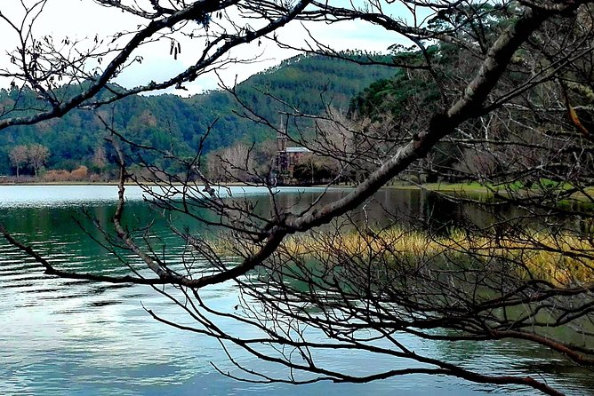 Furnas Lake Hotsprings and Gardens Van Tour - Why Furnas, Hot Springs, Gardens, and Tea Fit Together