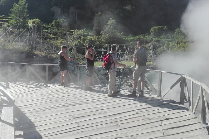 Furnas Lake Hotsprings and Gardens Van Tour - Botanical Gardens and Lake Views Without the Rush
