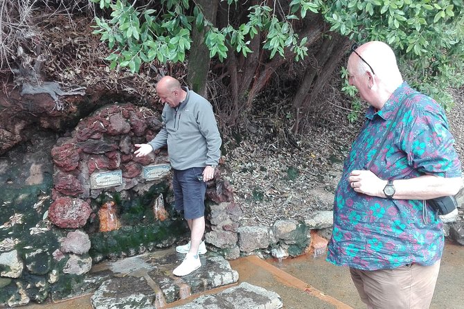 Furnas Lake Hotsprings and Gardens Van Tour - Tea Plantation and the Tea Process You Can Actually Understand