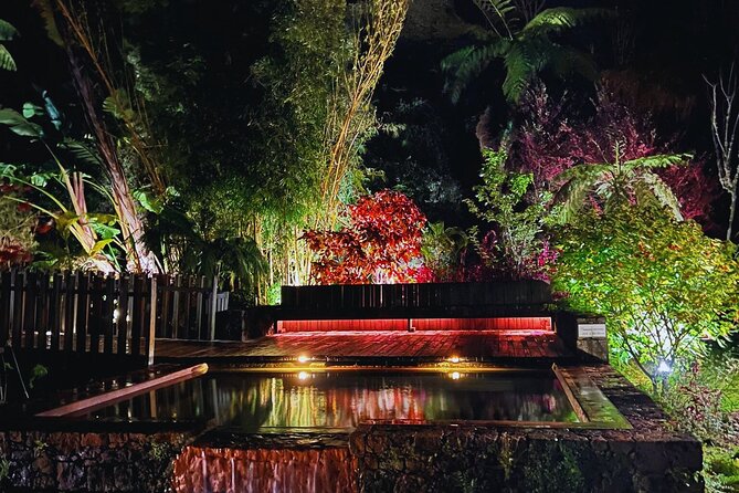 Furnas: Mystic Tour (w/Dinner) - Hot Springs - Getting picked up, then getting moving