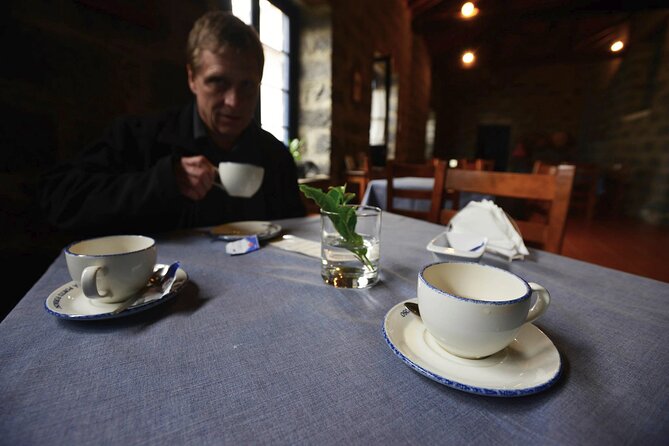 Furnas Private & Customizable Tour (group price) - Tea time at Gorreana: a working plantation with free tasting
