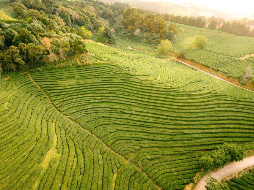 Furnas: Tea Plantations, Lake and Volcano Guided Tour - What’s included in the price, and where extras can pop up