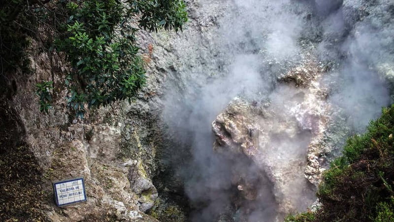 Furnas & Terra Nostra Gardens Biologist-guided e-Tour +lunch - Key highlights to look for