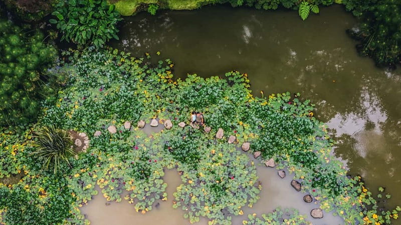 Furnas & Terra Nostra Gardens Biologist-guided e-Tour +lunch - Lunch built around cozido, and how it fits the whole day