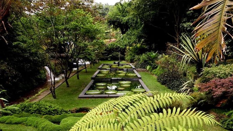 Furnas & Terra Nostra Gardens Biologist-guided e-Tour +lunch - Terra Nostra Gardens with a botanic guide, what you should focus on