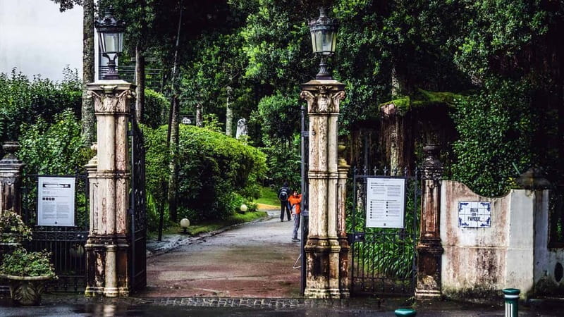 Furnas & Terra Nostra Gardens Biologist-guided e-Tour +lunch - Thermal baths at the end, how to enjoy the soak safely