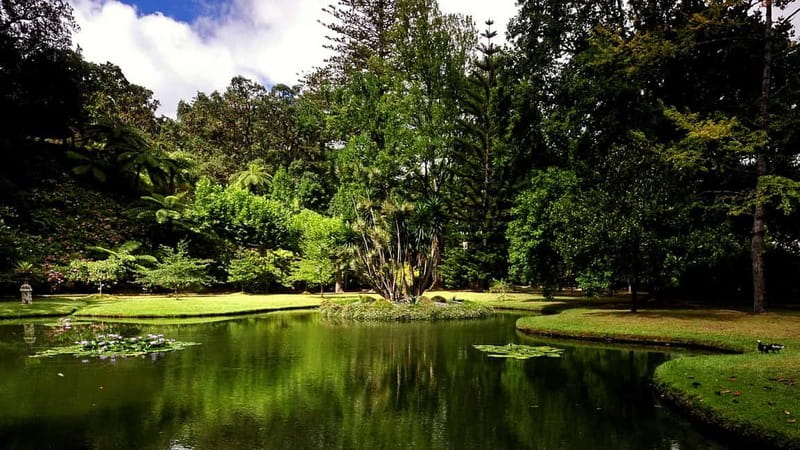Furnas & Terra Nostra Gardens Biologist-guided e-Tour +lunch - Value and pricing, what you really get for $101