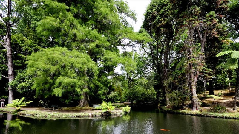 Furnas & Terra Nostra Gardens Biologist-guided e-Tour +lunch - Who this tour suits best, and who might want to skip it