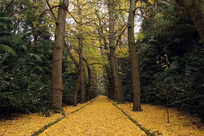 Furnas & Terra Nostra Park: Biologist-guided Botanic Tour +lunch - A Real-World Route: What You Are Actually Buying