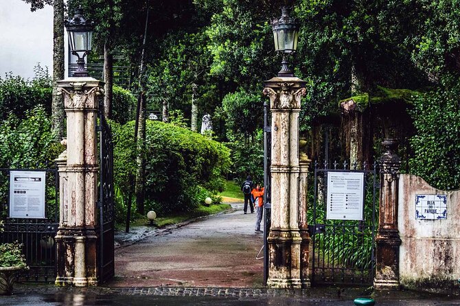 Furnas & Terra Nostra Park: Biologist-guided Botanic Tour +lunch - Furnas Village Lunch: The Cozido Experience That Actually Tastes Like the Island
