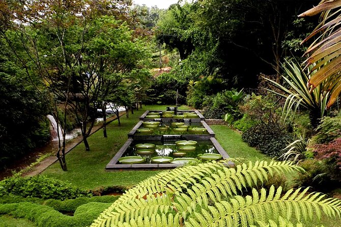 Furnas & Terra Nostra Park: Biologist-guided Botanic Tour +lunch - Terra Nostra Park: A Guided Botanical Walk You Can Follow