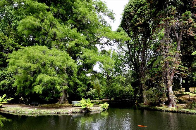 Furnas & Terra Nostra Park: Biologist-guided Botanic Tour +lunch - Thermal Pool Finish: Perfect If You Respect the Rules