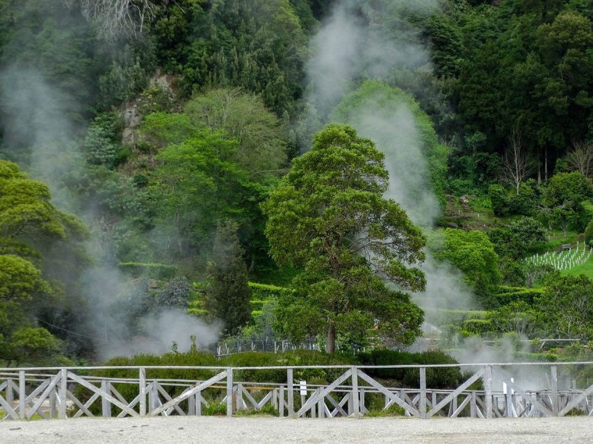 Furnas: Thermal Springs & Tea Plantation Day Tour with Lunch - Starting the Day: Pickup Routes and How the Van Shapes Your Time