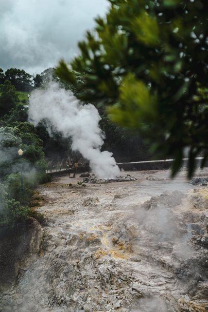 Furnas: Thermal Springs & Tea Plantation Day Tour with Lunch - Terra Nostra Park’s Hot Water Pools, Plus the Entry-Fee Catch