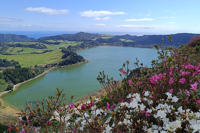 Furnas Vale, Gorreana Tea Factory Private Van Tour - Key highlights before you go