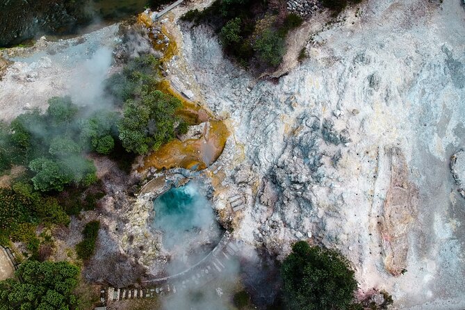 Furnas Volcano, Lake, Geysers, Tea Plantation and Terra Nostra - Cha Gorreana tea plantation: slopes walk, factory time, and real tasting
