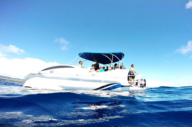 Glass Bottom Boat Tour & Snorkeling in São Miguel, Azores - Price and value: what you are really paying for