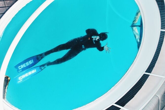 Glass Bottom Boat Tour & Snorkeling in São Miguel, Azores - What to pack for a smooth Azores water day