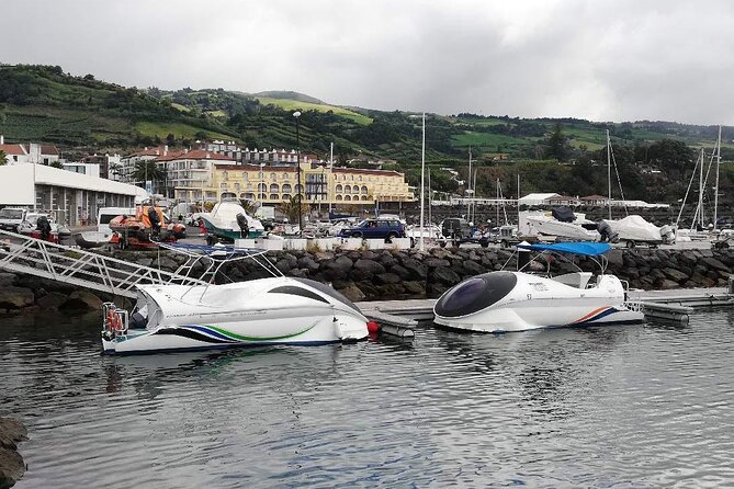 Glass Bottom Boat Tour & Snorkeling in São Miguel, Azores - Who should book, and who might want a different plan
