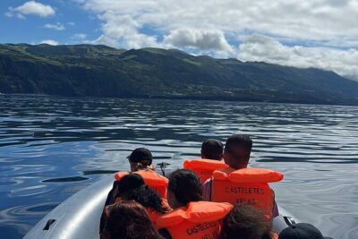 Guided activity in the Heart of Azores with whales and dolphins