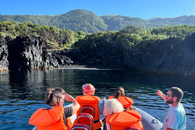 Guided activity in the Heart of Azores with whales and dolphins - What to expect before you go: meeting in Velas and being ready to move