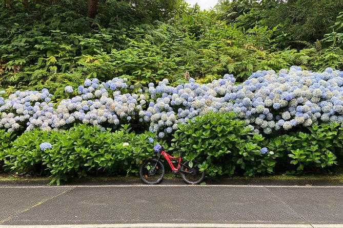 Guided Electric Mountain Bike in Sete Cidades - Key Points at a Glance